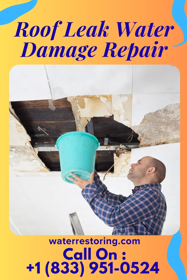 Roof Leak Water Damage Repair in Pinehurst, ID